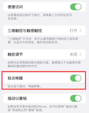 成武苹果授权维修站分享iPhone轻点无法唤醒怎么办 