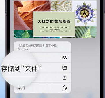 成武apple维修中心分享iPhone文件应用中存储和找到下载文件