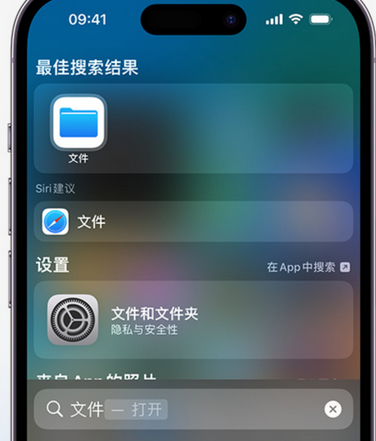 成武apple维修中心分享iPhone文件应用中存储和找到下载文件