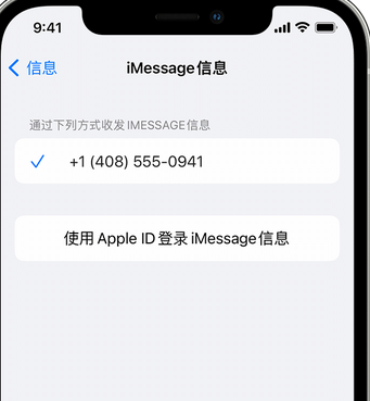 成武apple维修iPhone上无法正常发送iMessage信息 