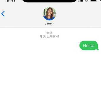 成武apple维修iPhone上无法正常发送iMessage信息