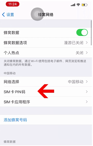 成武苹果14维修网分享如何给iPhone14的SIM卡设置密码 