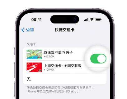 成武apple维修点分享iPhone上更换Apple Pay快捷交通卡手绘卡面 