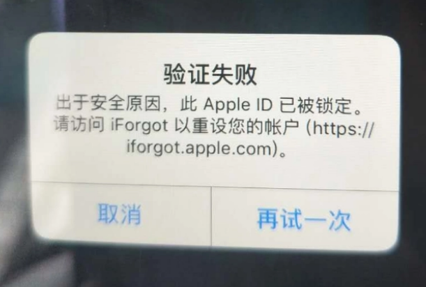 成武iPhone维修分享iPhone上正常登录或使用AppleID怎么办 