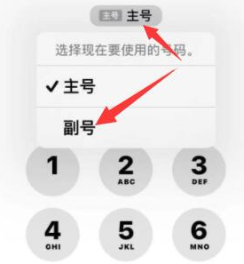 成武苹果14维修店分享iPhone 14 Pro Max使用副卡打电话的方法 