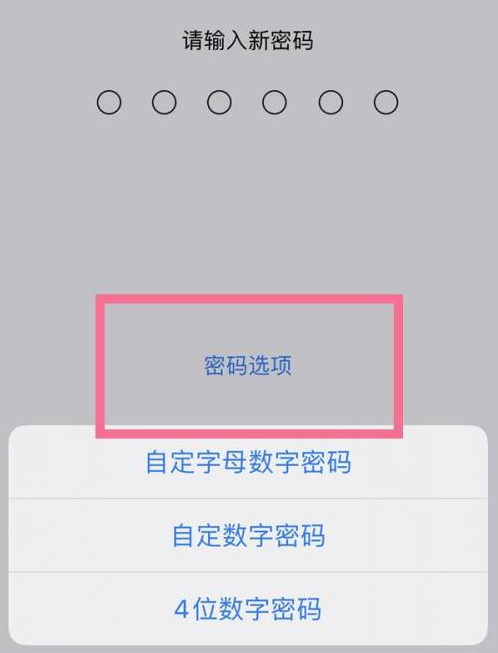 成武苹果14维修分享iPhone 14plus设置密码的方法 