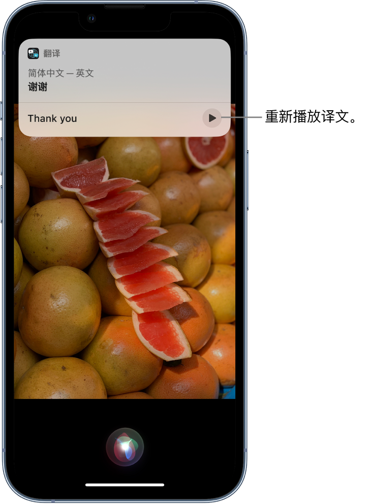 成武苹果14维修分享 iPhone 14 机型中使用 Siri：了解 Siri 能帮你做什么 