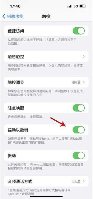 成武苹果手机维修分享iPhone手机如何设置摇一摇删除文字 