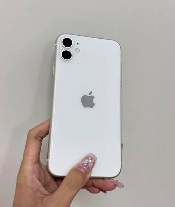 成武苹果维修点分享iPhone 11黑屏特殊场景解析 